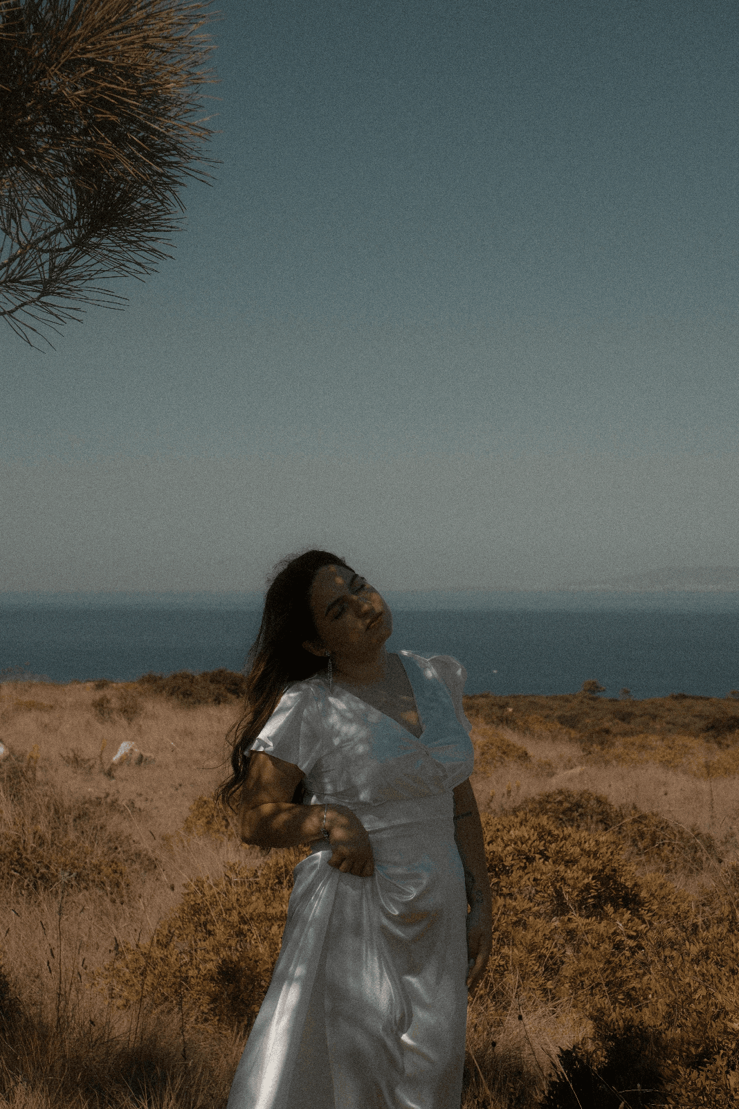 Matilde na lua — bucólico